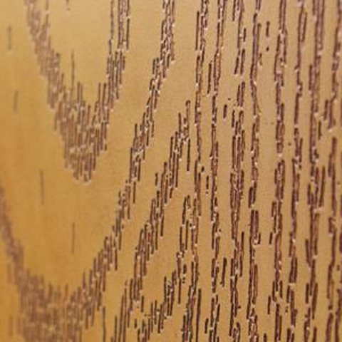 Close up of oak grain
